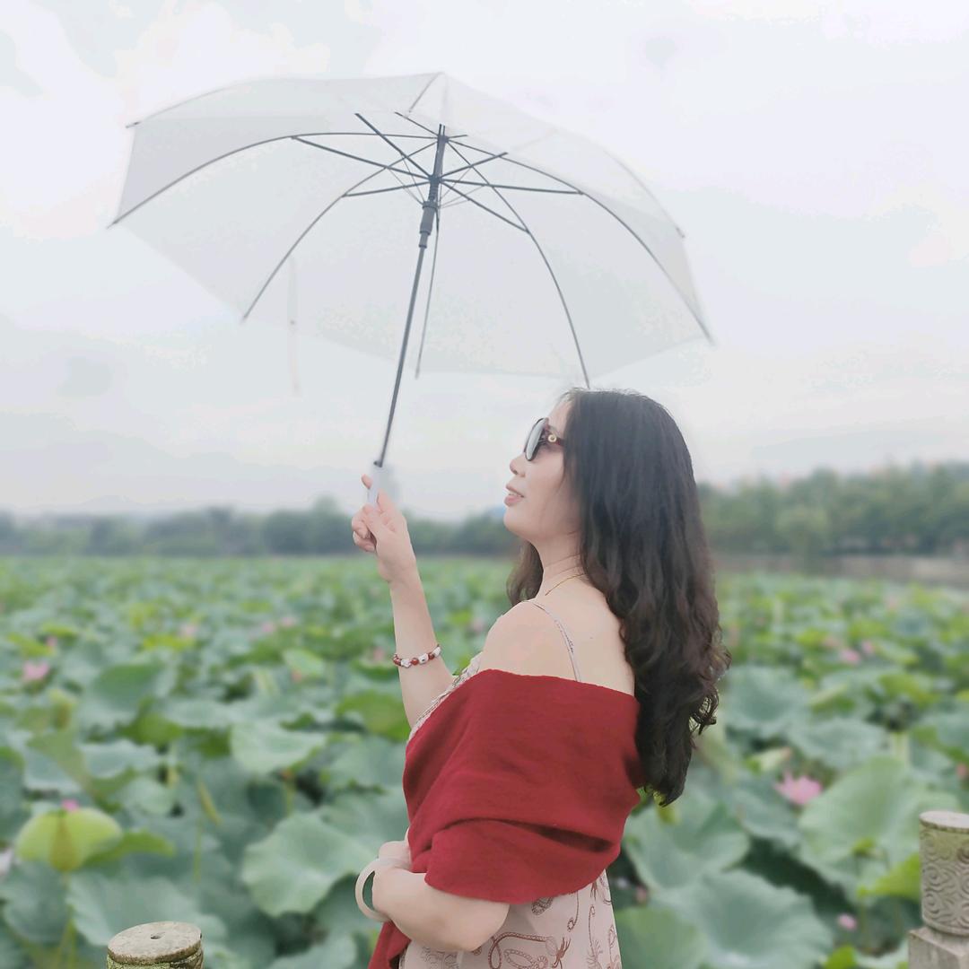 用户3714916789631香水百合