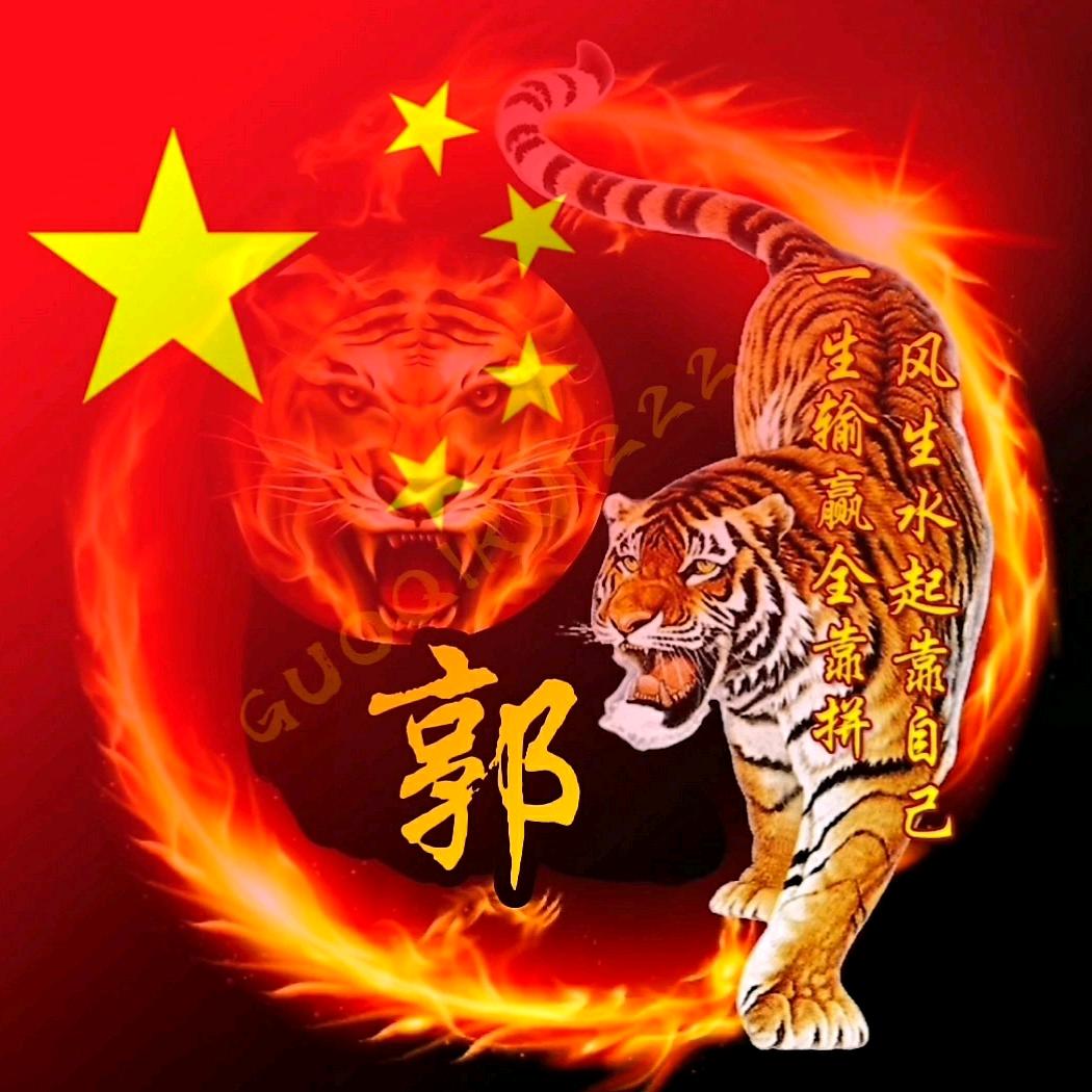 二哥在深圳