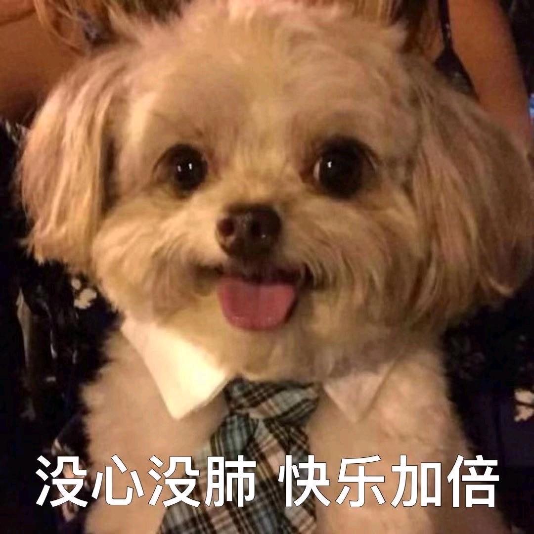 彭于晏得不到的女人👑