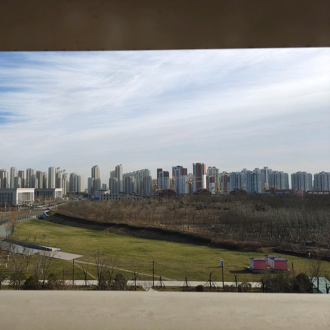 年轻的荣涛