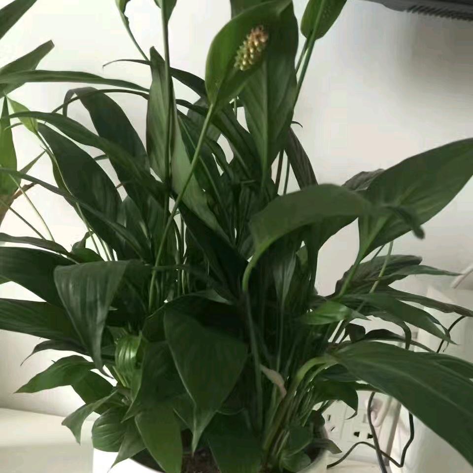 钰