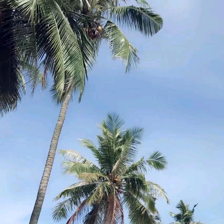 人生如戏全靠演技