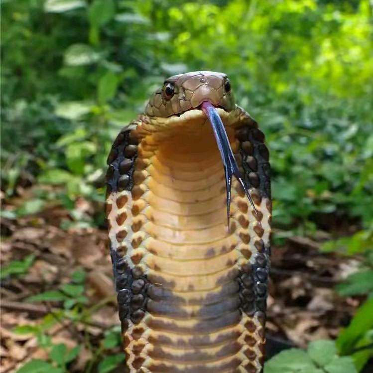 零点时代
