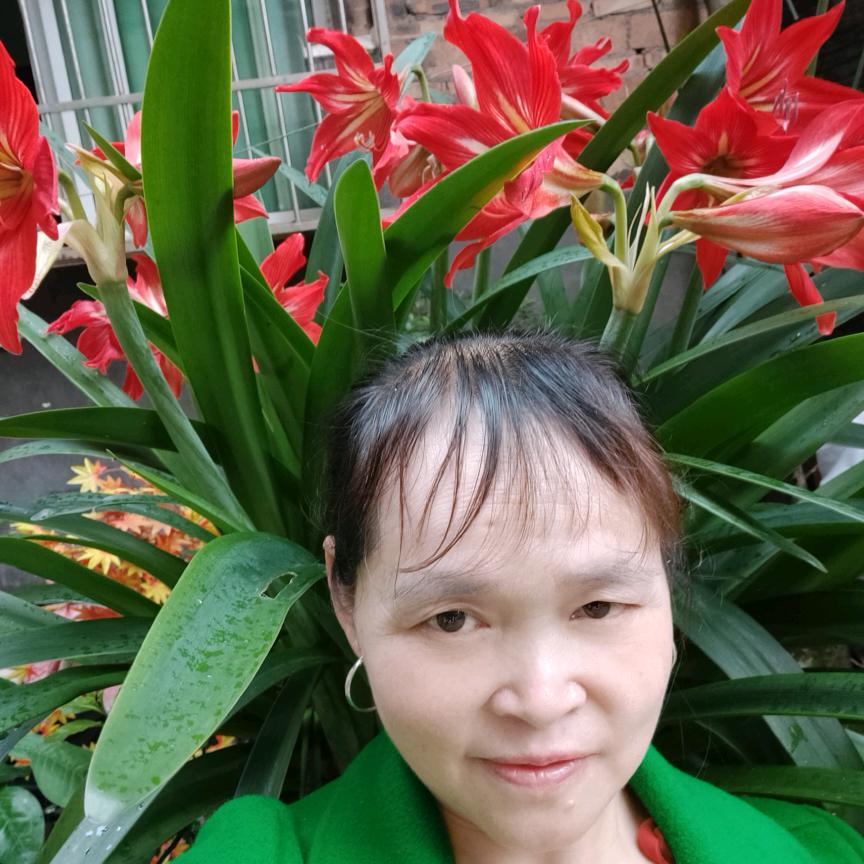 雨后的阳光