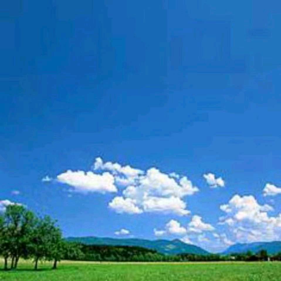 魏静