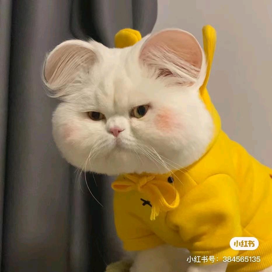 咪咪吖