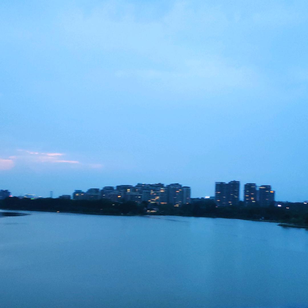 湛江游子