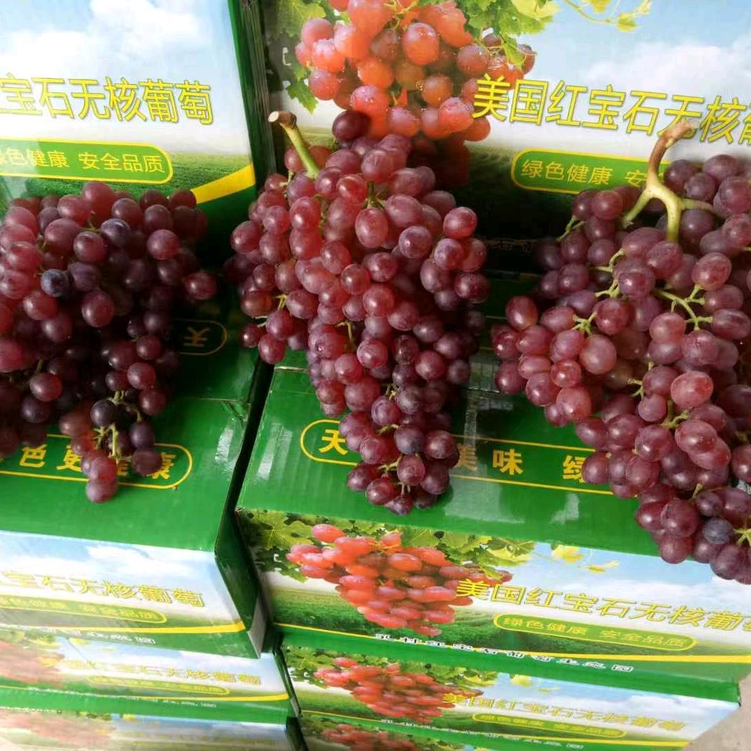 葡萄小哥(小赵葡萄园)