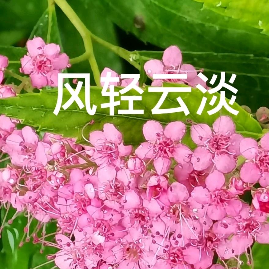 风轻云淡（爱剪辑）
