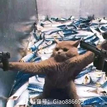 蘩叶终蓶落︶ㄣ