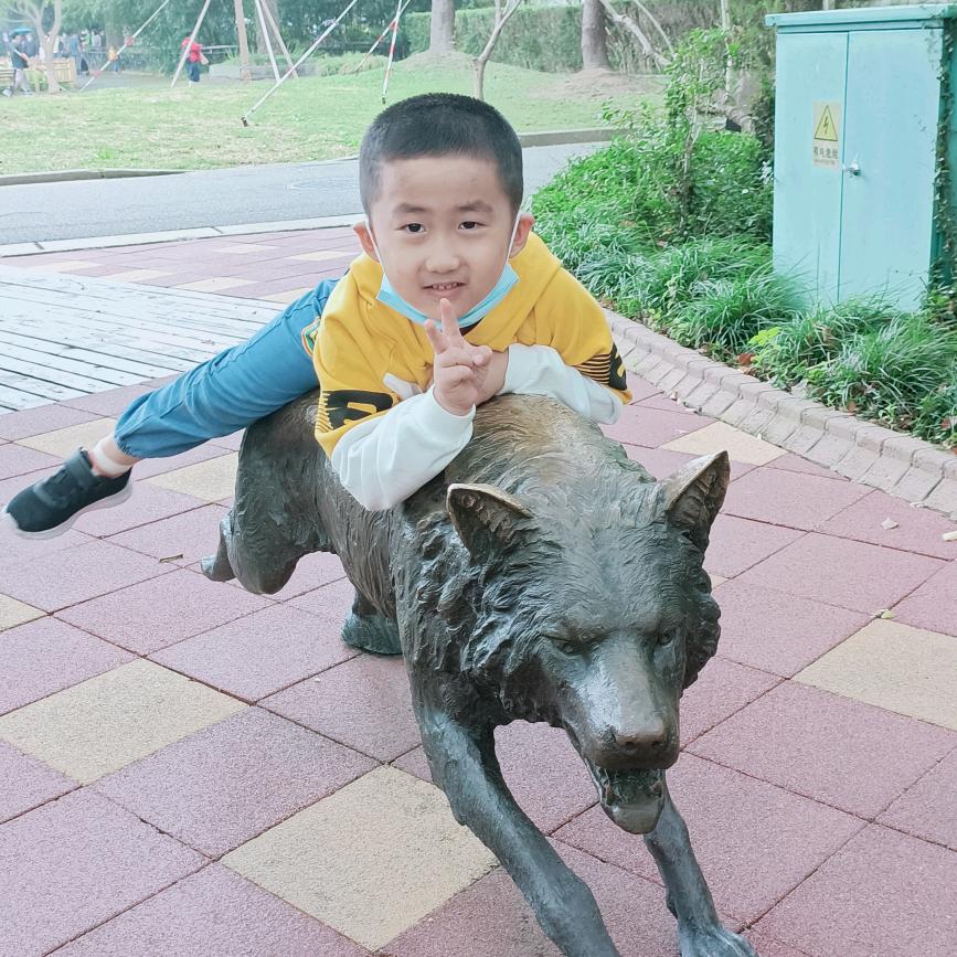 杨丽琴