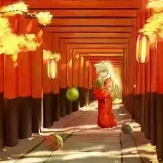 蓝色的花海