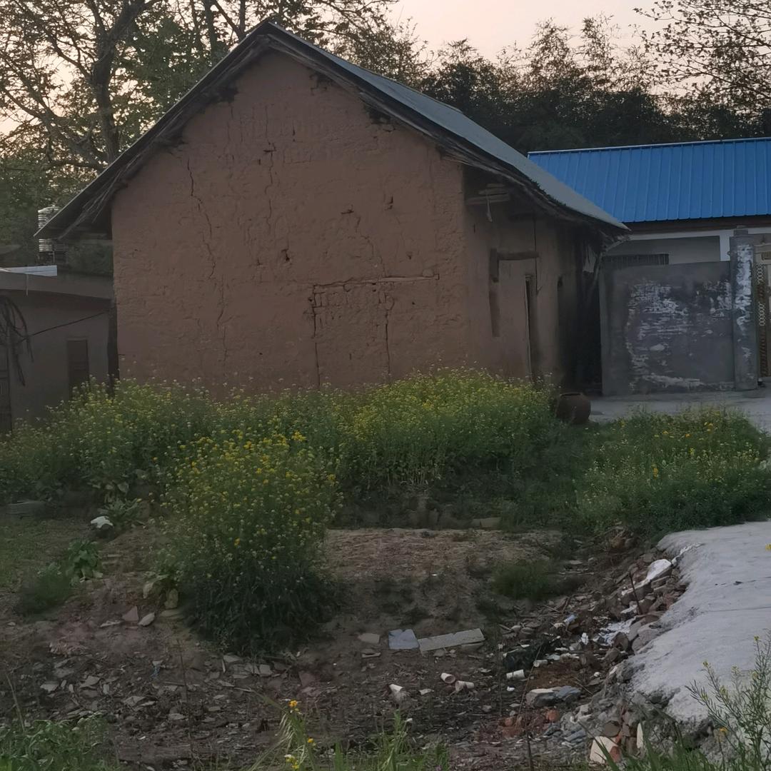 春风不识路