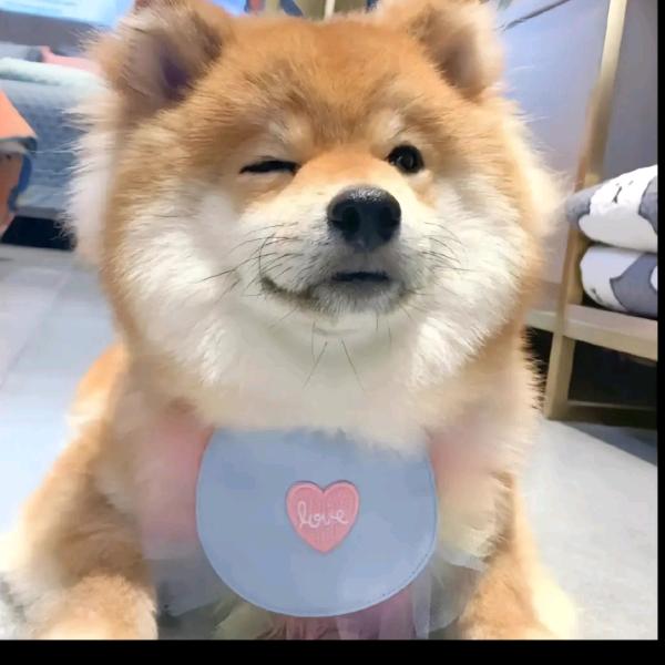 一颗糖🍬