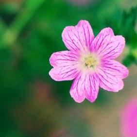 🌻阳阳🌻⁹²⁷