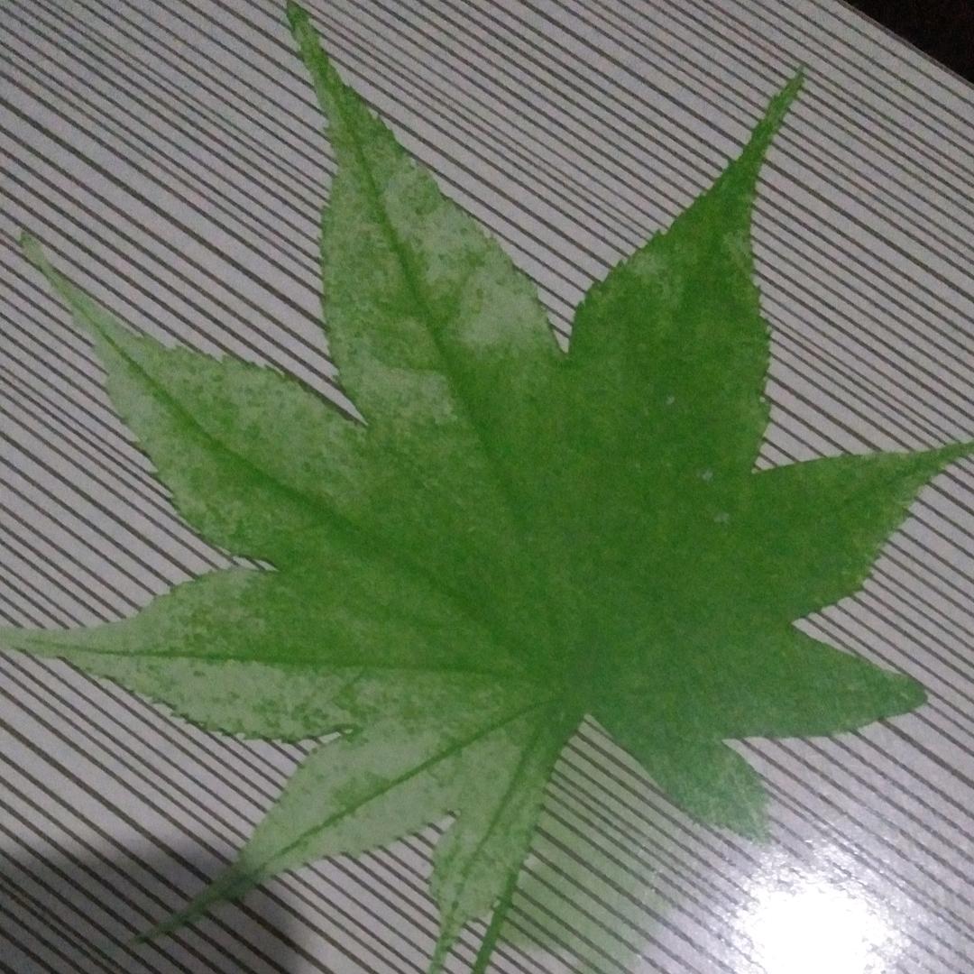 小可爱☆小可爱头像