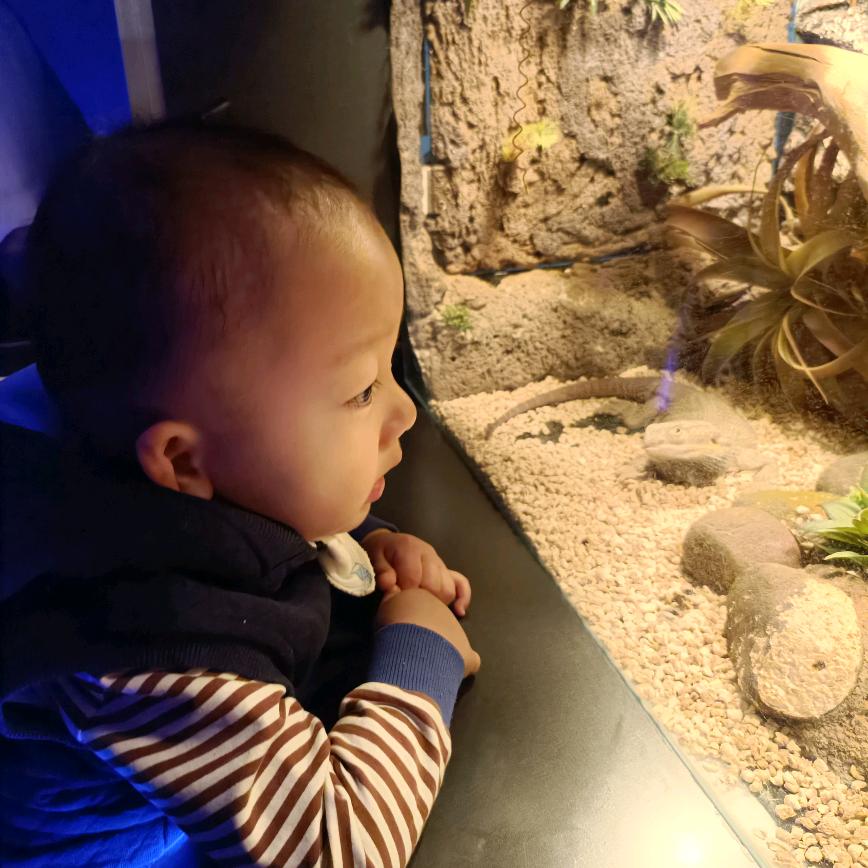 嘿，这有一枚布丁诶😉😉