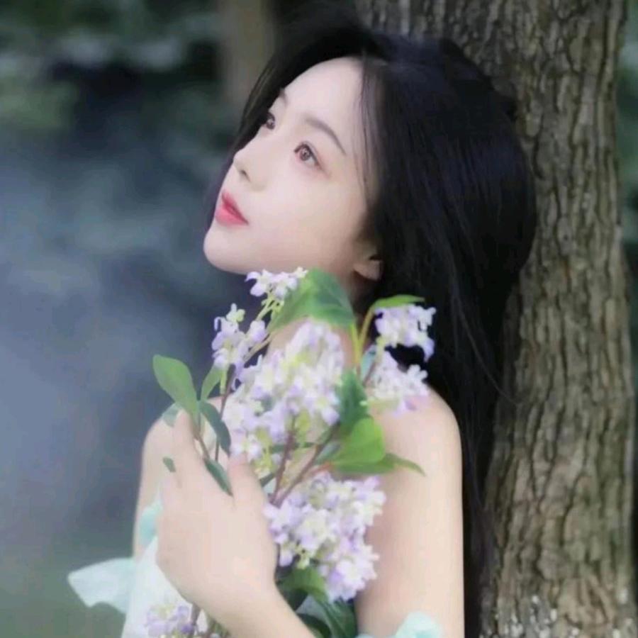 鸢尾