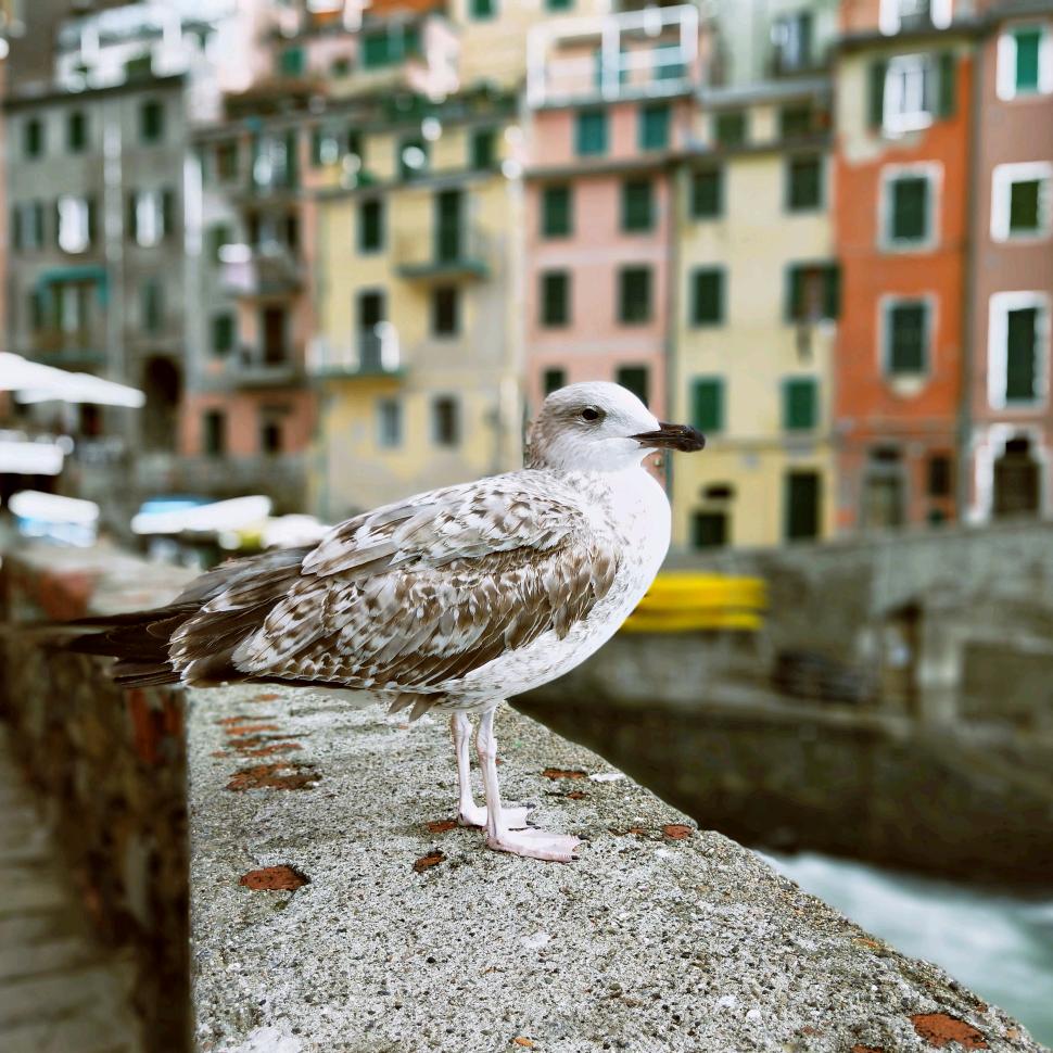一杯清茶品人心