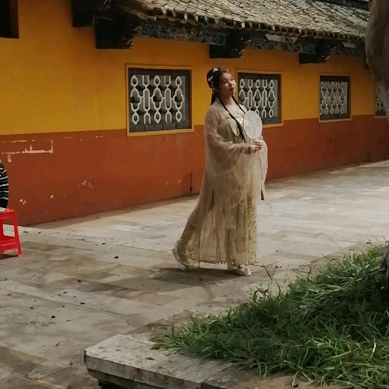 白天鹅
