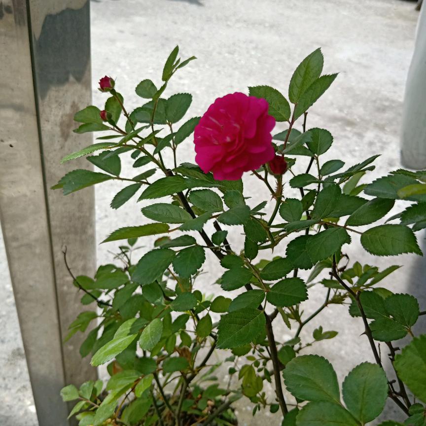 幸福平安