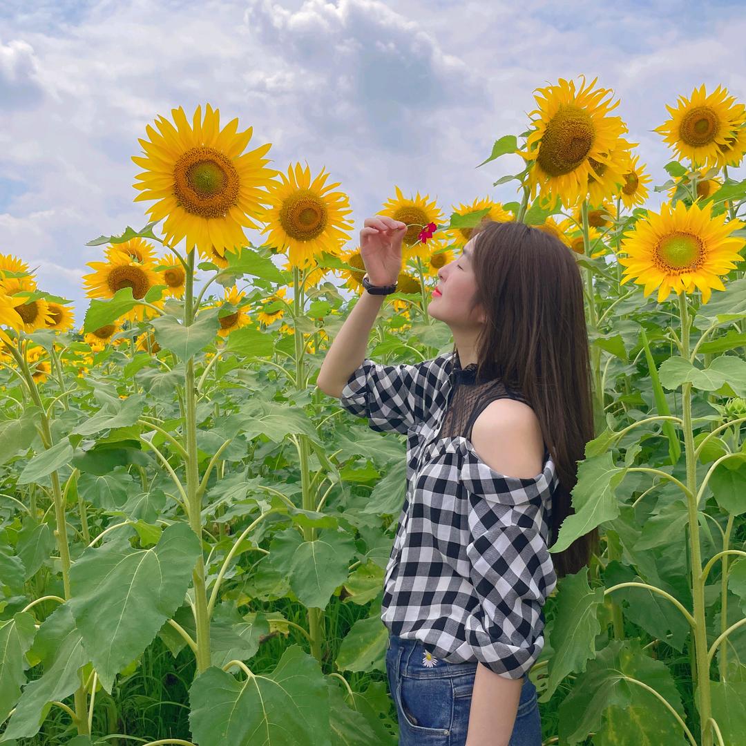 晏晏的北阳台🌸园