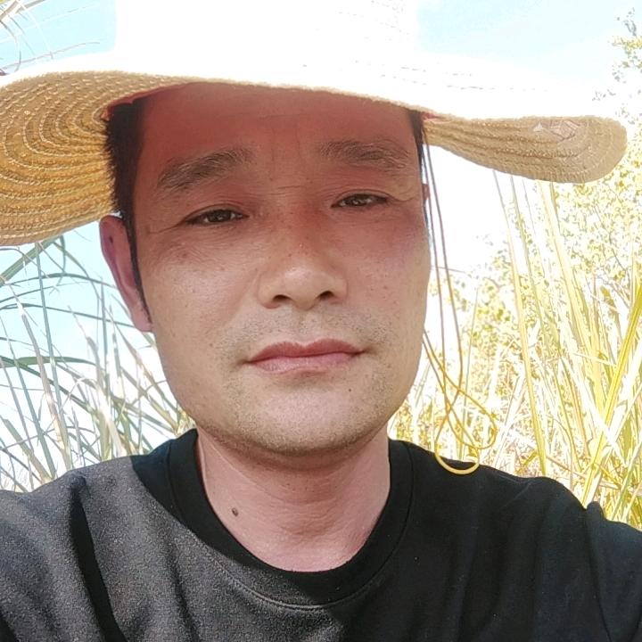哈伦