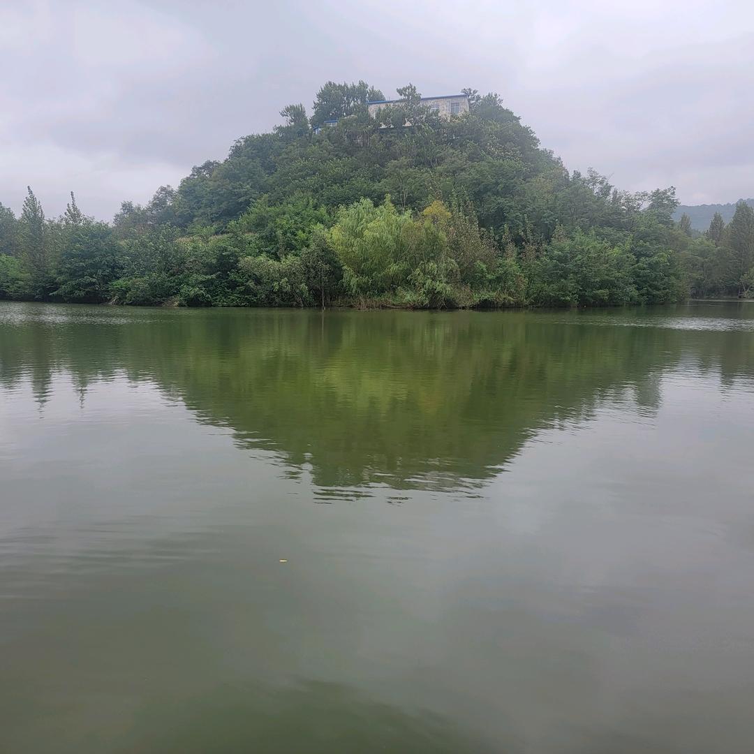 清华北大研究生