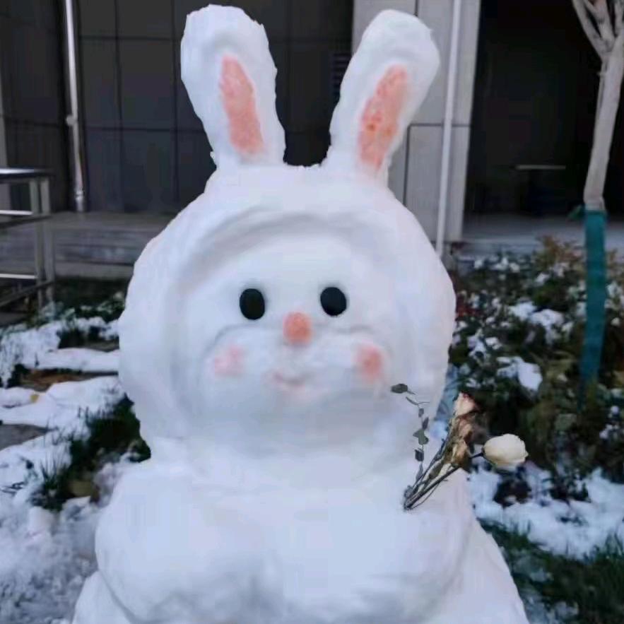 修行森（封票）