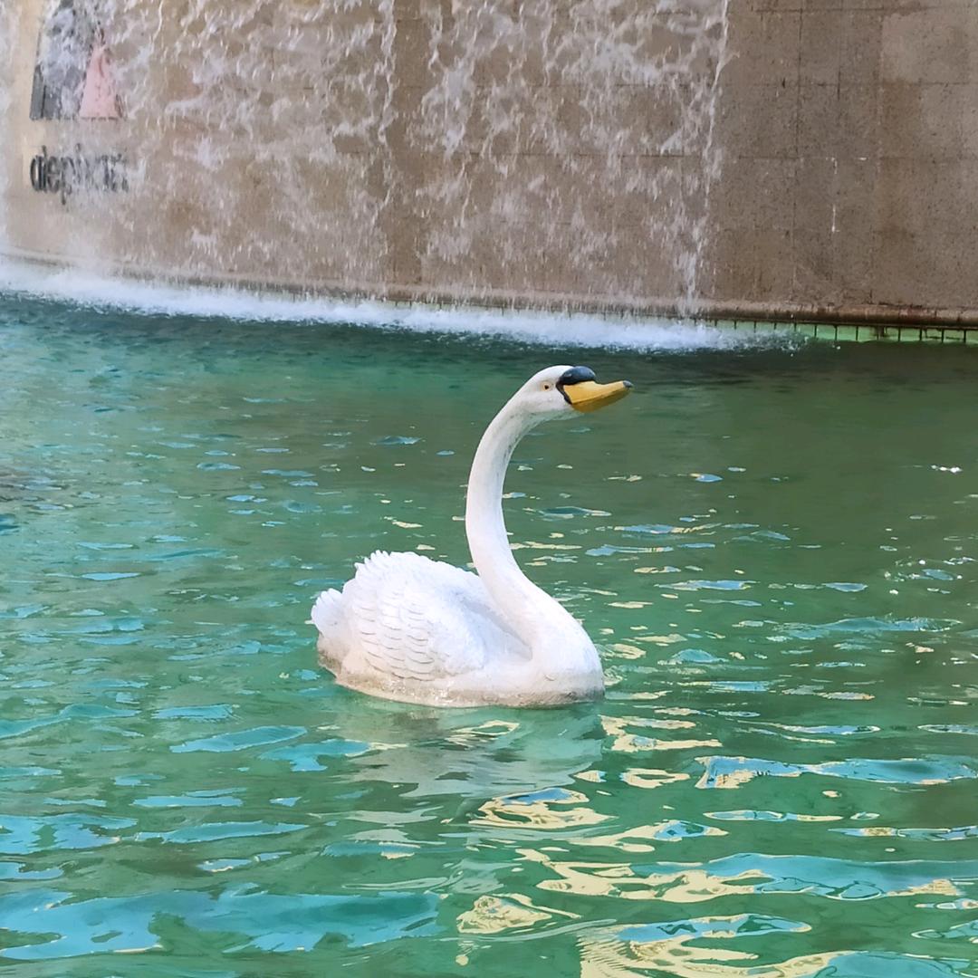 小乔流水