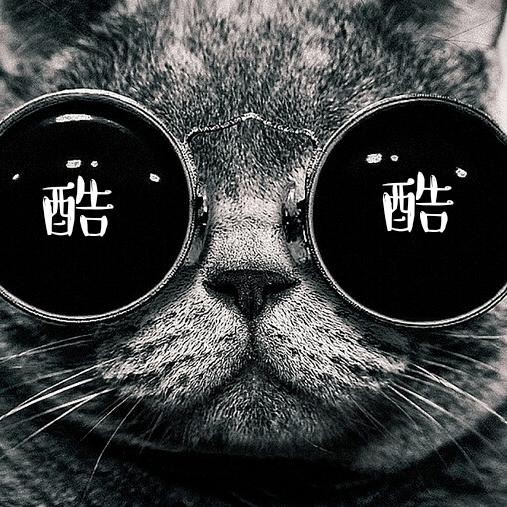 酷酷的猫
