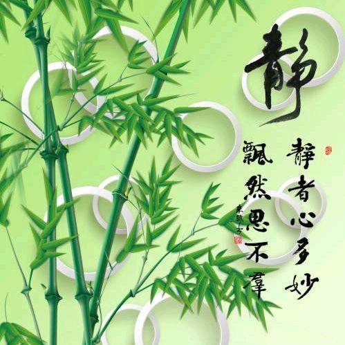 潇湘雨头像