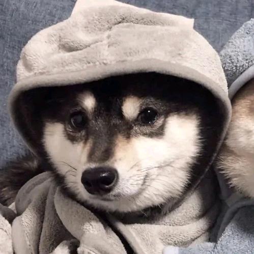 付家二少