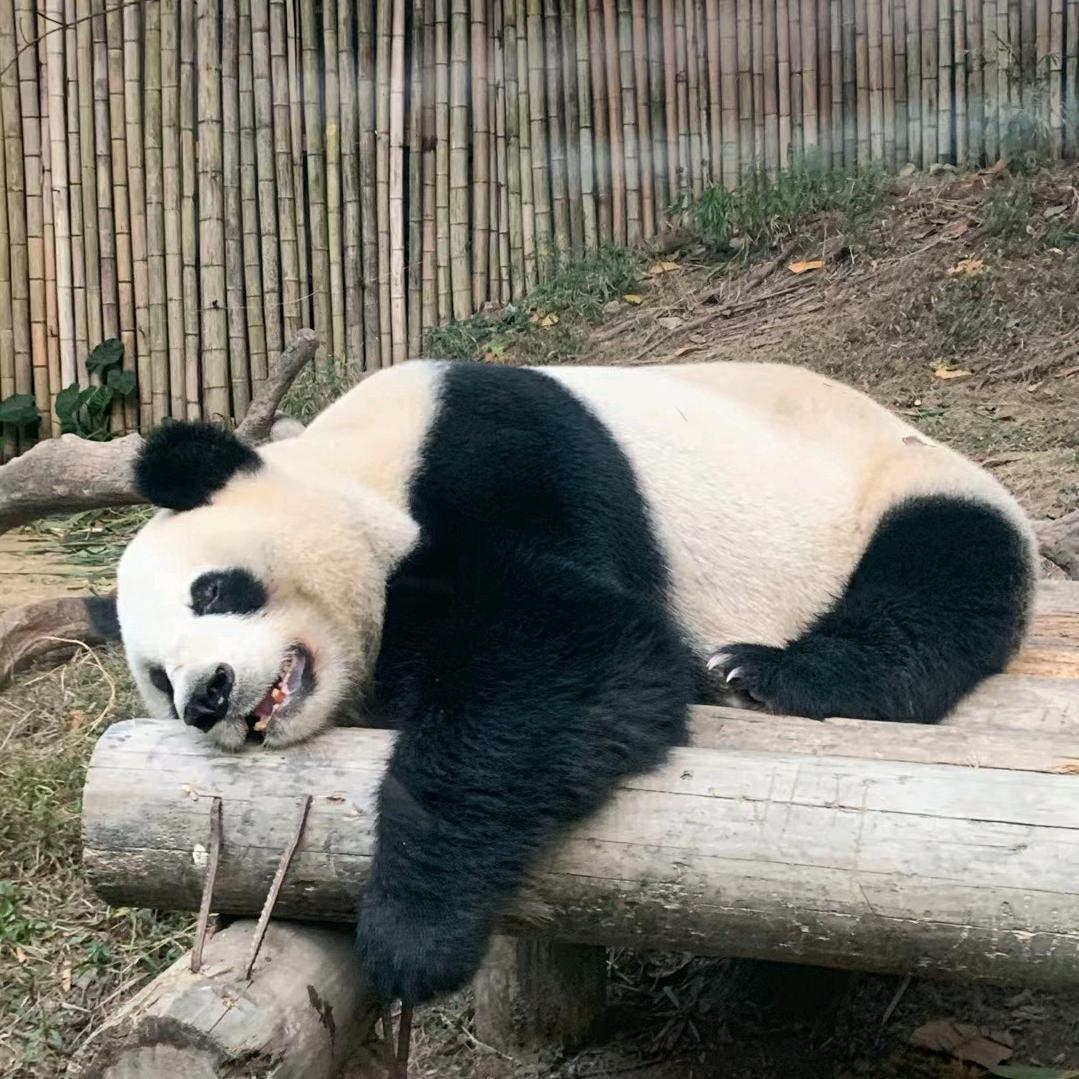 😘ོ钱来财来好运来……