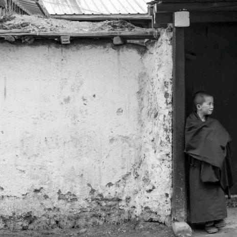 得乐📿