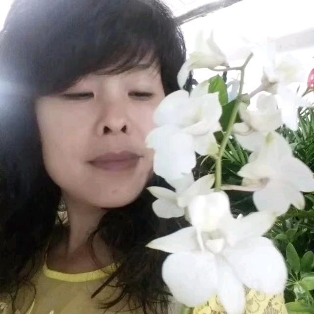 绿空间花屋皮皮