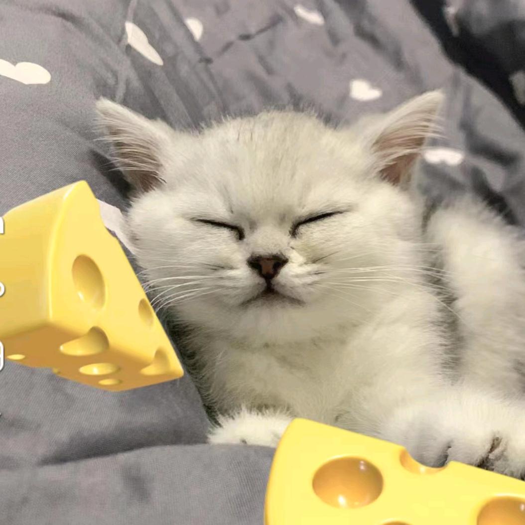 专业支摸板，柱子，圈梁，大梁