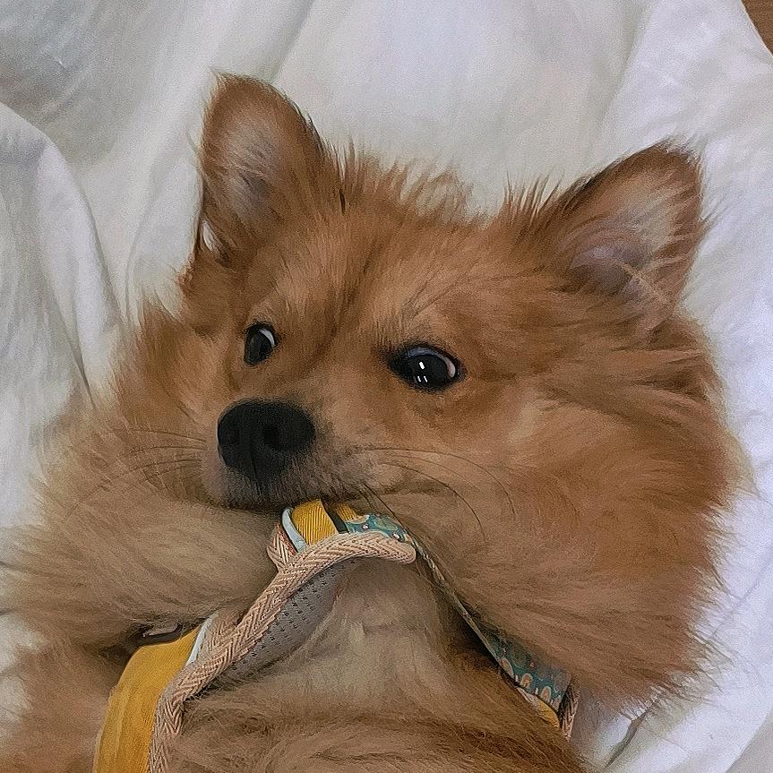 立秋啦