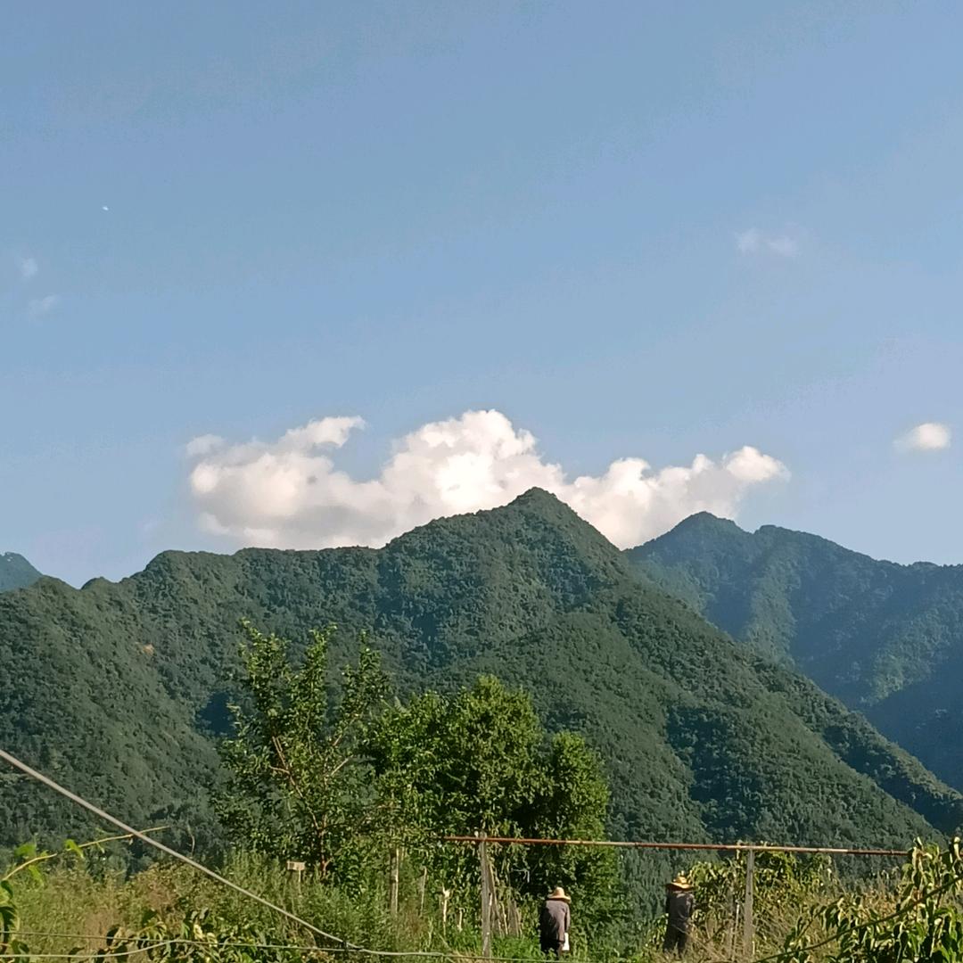生活