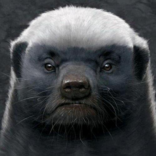 人工挖孔桩 抗滑桩 水磨钻 合礼建筑