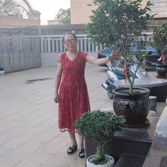 杨细妹