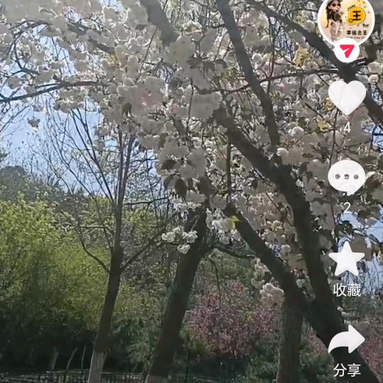 li150760869