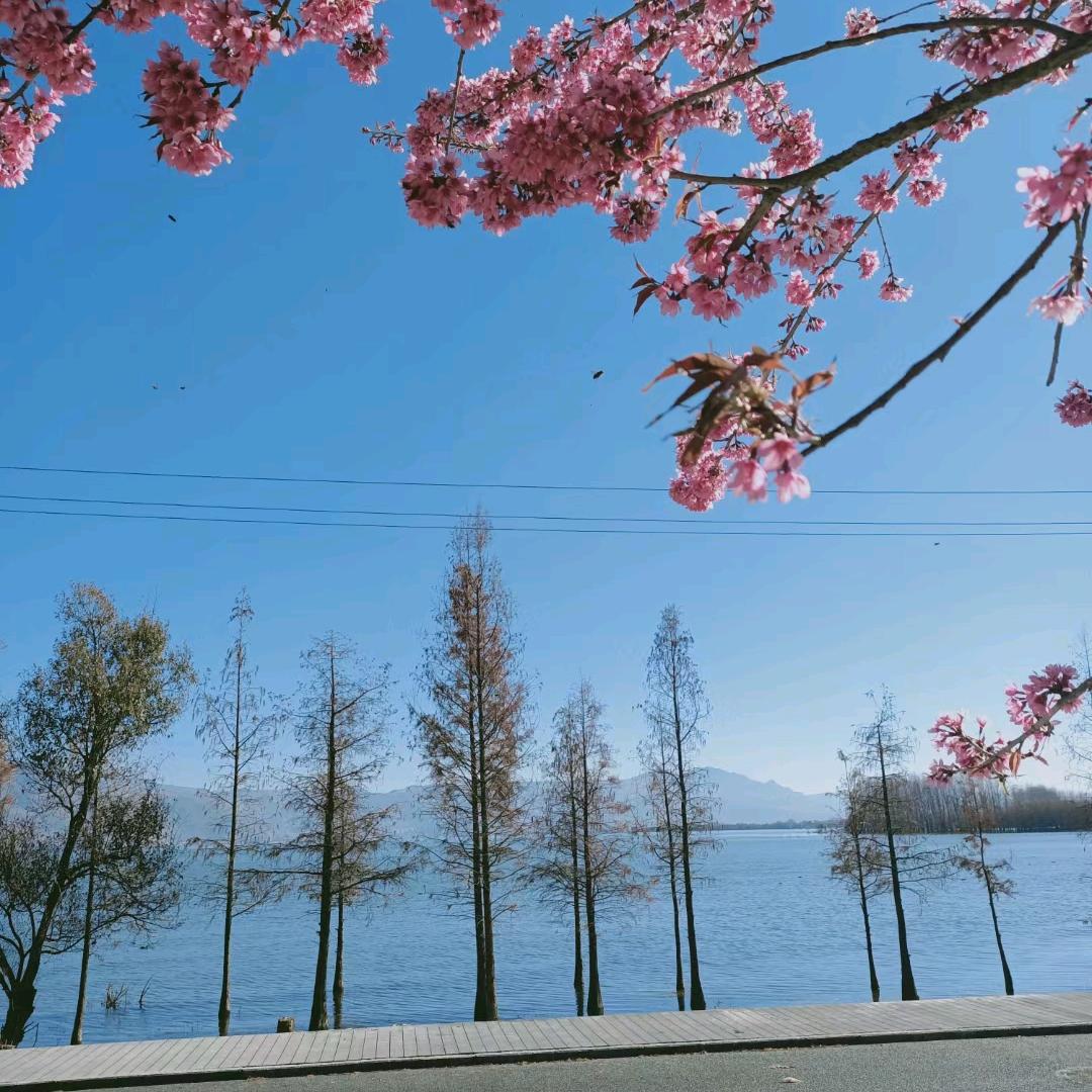 握不住的沙不如扬了它