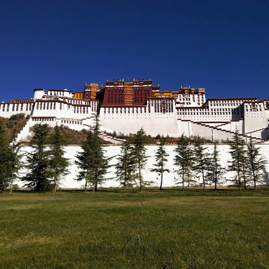 专注自动挡以及C5范教练