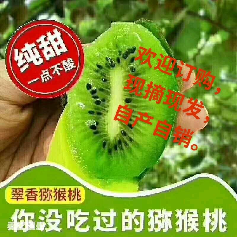 陕西周至猕猴桃基地，销售翠香，徐香猕猴桃