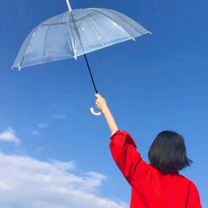 百荷