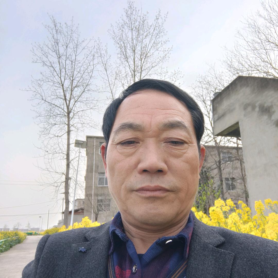 半世拼搏
