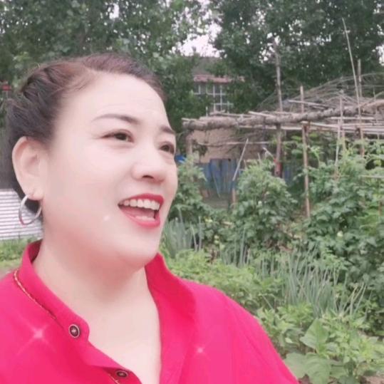 白姐(凤凰于飞)