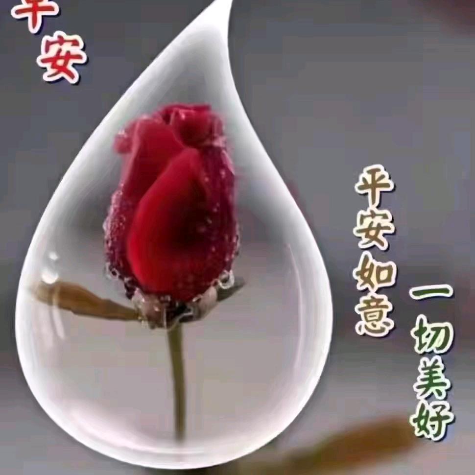 振哥