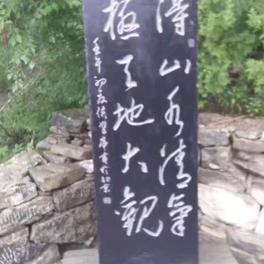 申树